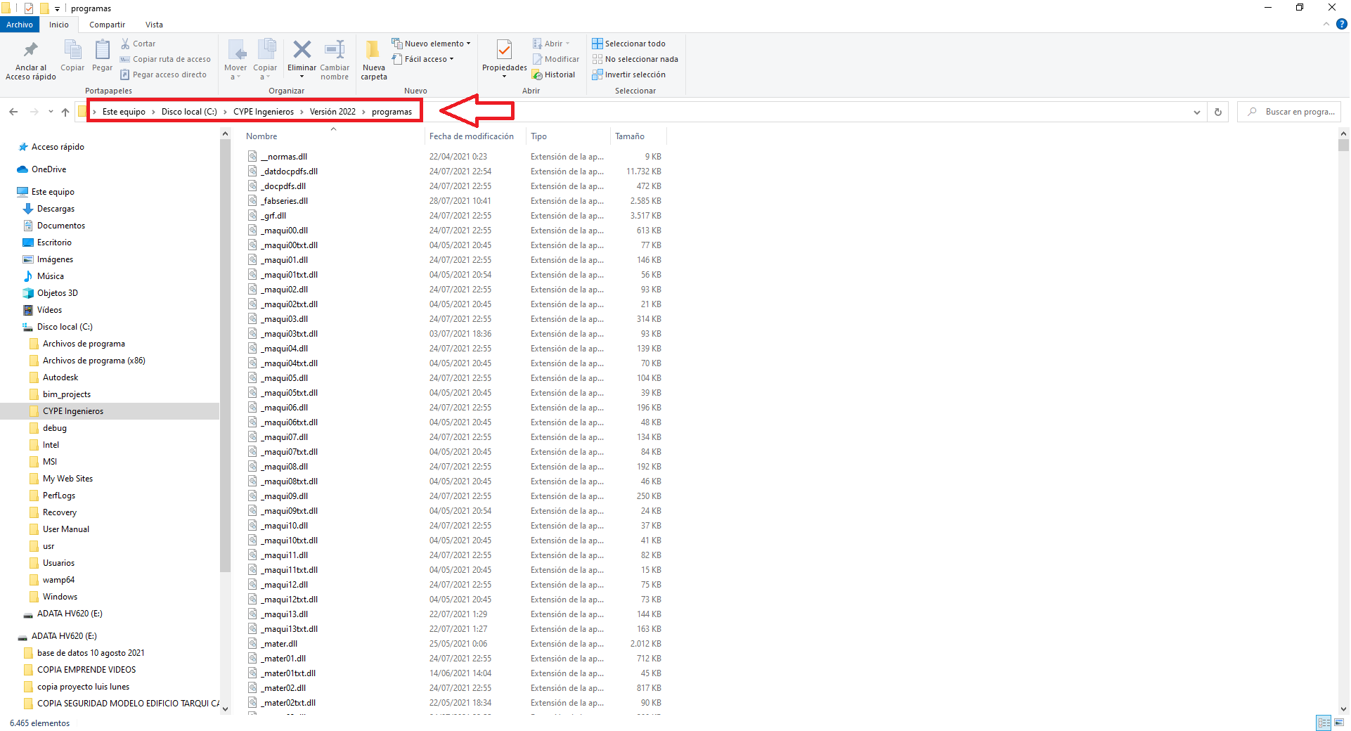 Imagen de archivos .dll